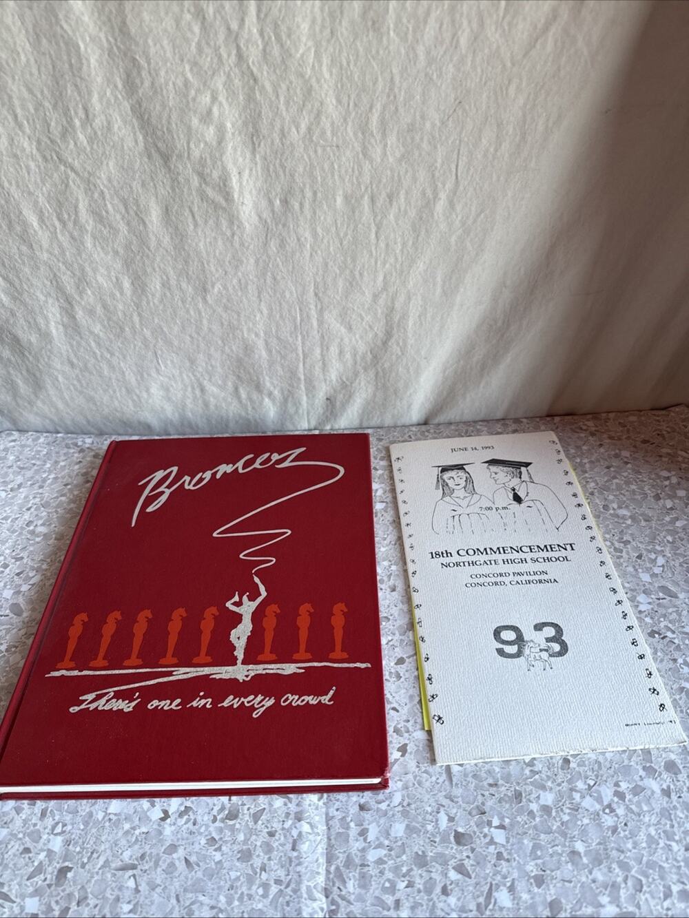 1993 NORTHGATE HIGH SCHOOL YEARBOOK WALNUT CREEK, CALIFORNIA